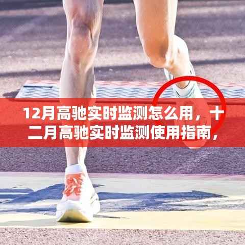 第560页