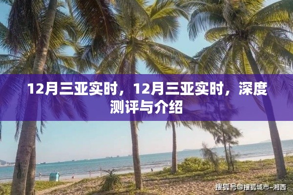 揭秘三亚冬季魅力,深度测评与详细介绍