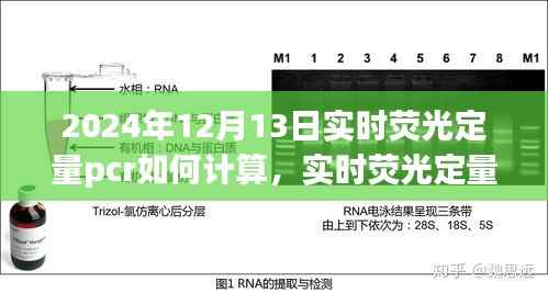 惊弦之鸟 第4页