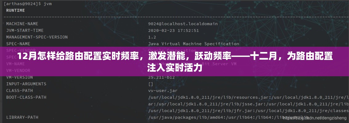 十二月路由配置实时优化,激发潜能,跃动频率,注入实时活力