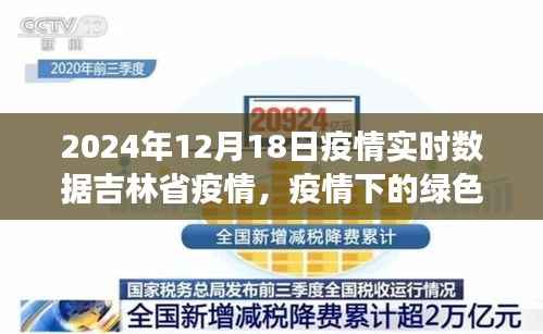 笔走龙蛇