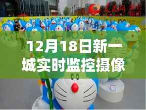 12月18日新一城摄像头下的温馨日常,欢乐时光全记录