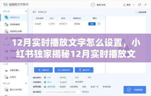 小红书独家揭秘,轻松掌握视频制作新技巧——12月实时播放文字设置全攻略!