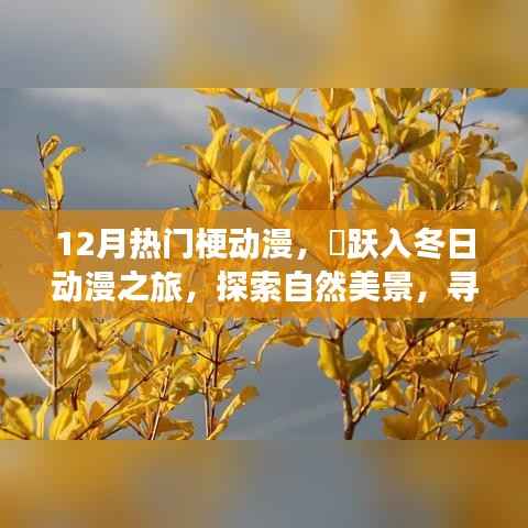 12月热门梗动漫，跃入冬日探索之旅，自然美景与内心的奇迹
