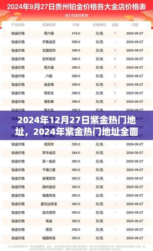 2024年紫金热门地址全面评测,特性、体验、对比及用户群体深度解析