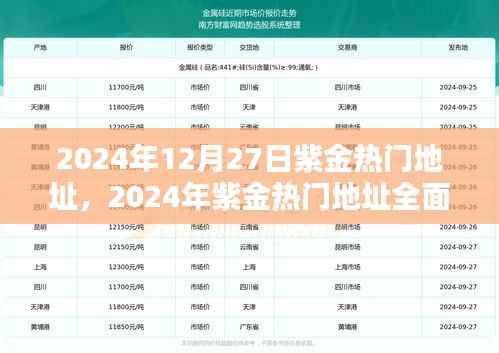 2024年紫金热门地址全面评测,特性、体验、对比及用户群体深度解析