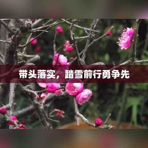 带头落实,踏雪前行勇争先