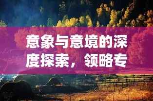 意象与意境的深度探索，领略专题魅力