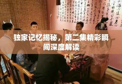 独家记忆揭秘,第二集精彩瞬间深度解读