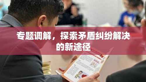 专题调解,探索矛盾纠纷解决的新途径