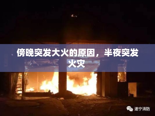 雍容雅步 第2页