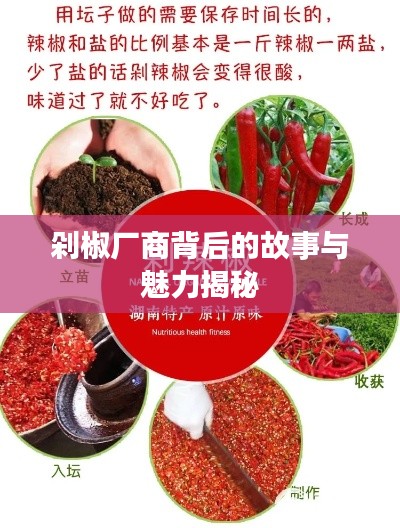 革新变旧 第3页