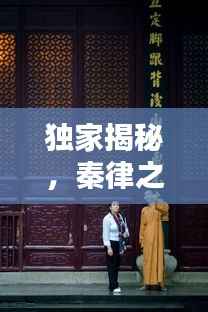 独家揭秘，秦律之魅力——探寻古代法律的独特韵味