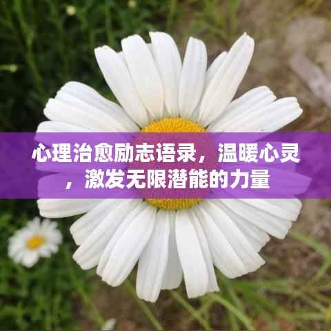 心理治愈励志语录，温暖心灵，激发无限潜能的力量