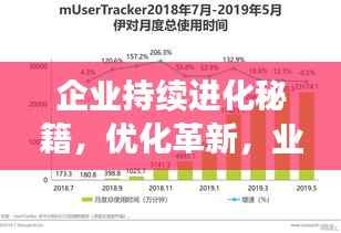 企业持续进化秘籍,优化革新,业务模式升级之路