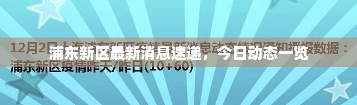 浦东新区最新消息速递，今日动态一览