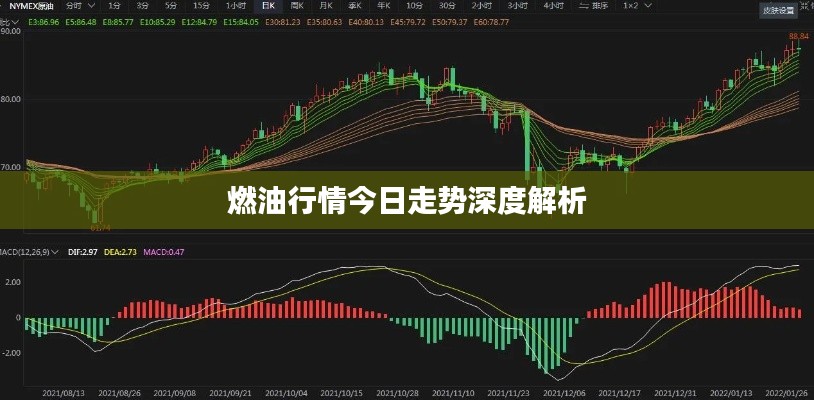 燃油行情今日走势深度解析