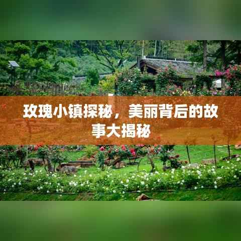 玫瑰小镇探秘，美丽背后的故事大揭秘