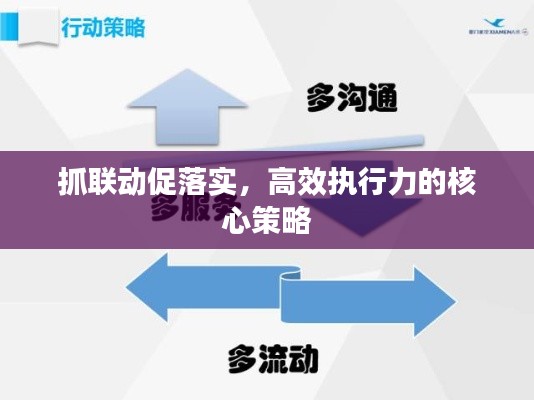 抓联动促落实,高效执行力的核心策略