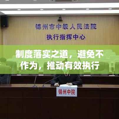 制度落实之道,避免不作为,推动有效执行