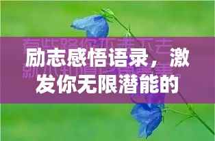 定谋贵决