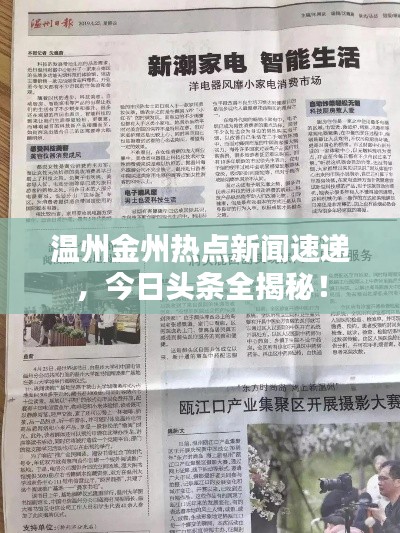 温州金州热点新闻速递，今日头条全揭秘！
