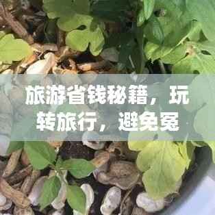 旅游省钱秘籍，玩转旅行，避免冤枉钱支出攻略！