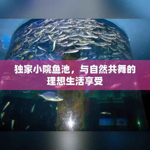 独家小院鱼池，与自然共舞的理想生活享受