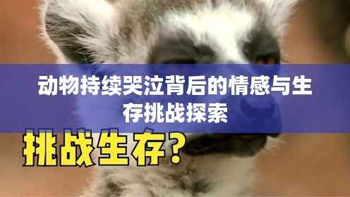 设身处地